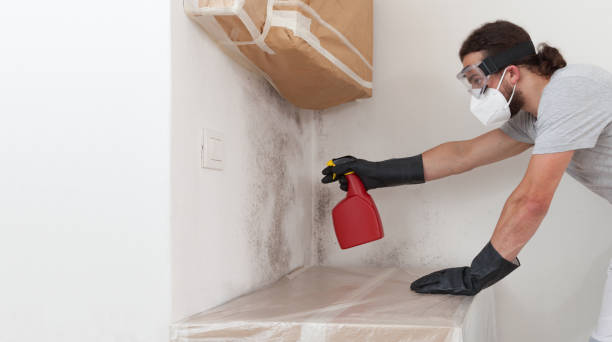 Professional Crawl Space Mold Removal technician working in Juliustown, NJ