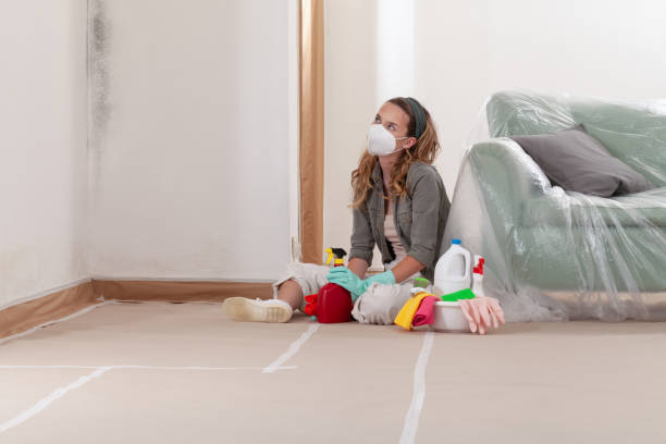 Reliable Mold Remediation contractor in Juliustown, NJ by Cheap Mold Removal